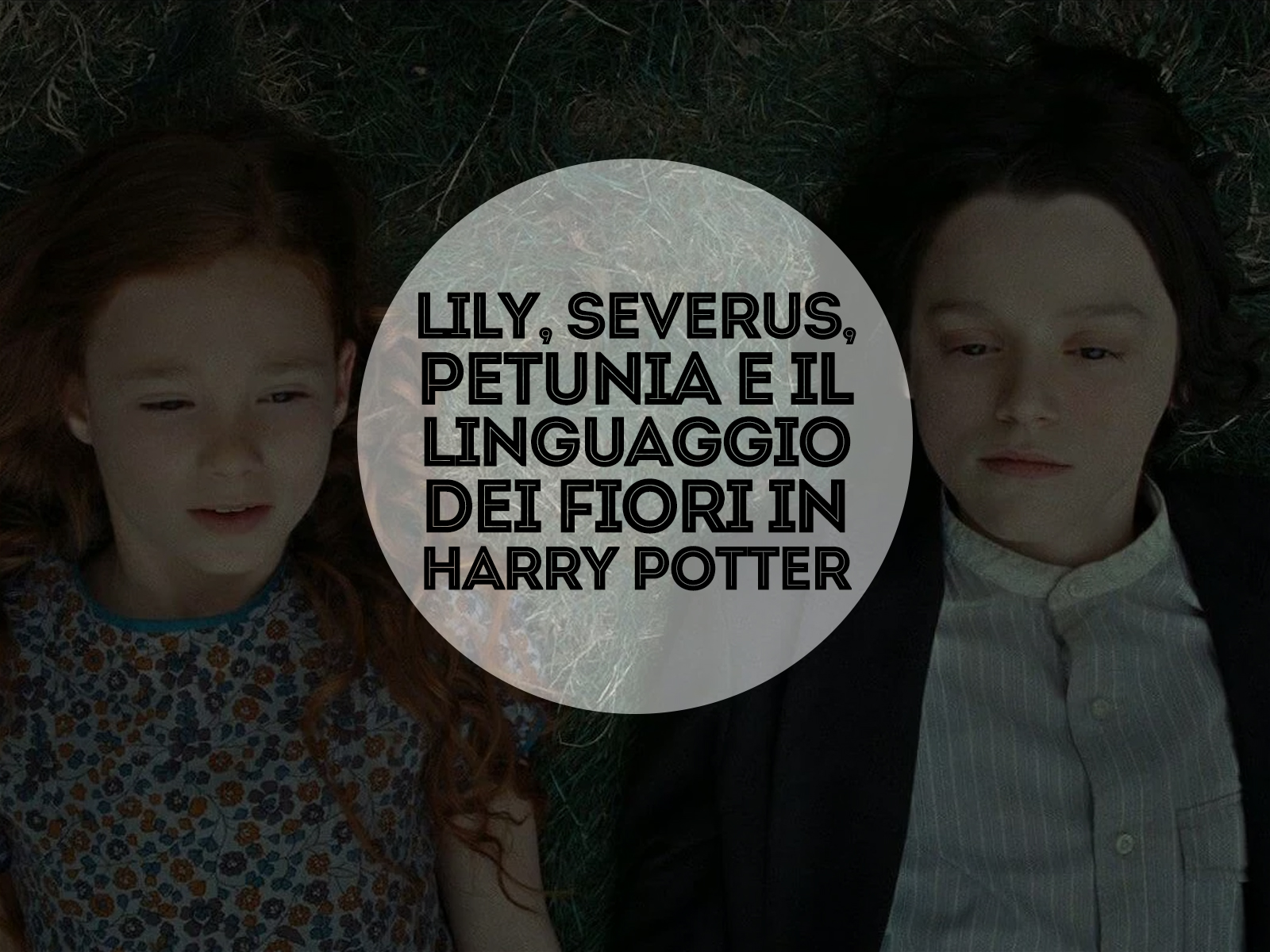 Lily, Severus, Petunia e il linguaggio dei fiori in Harry Potter