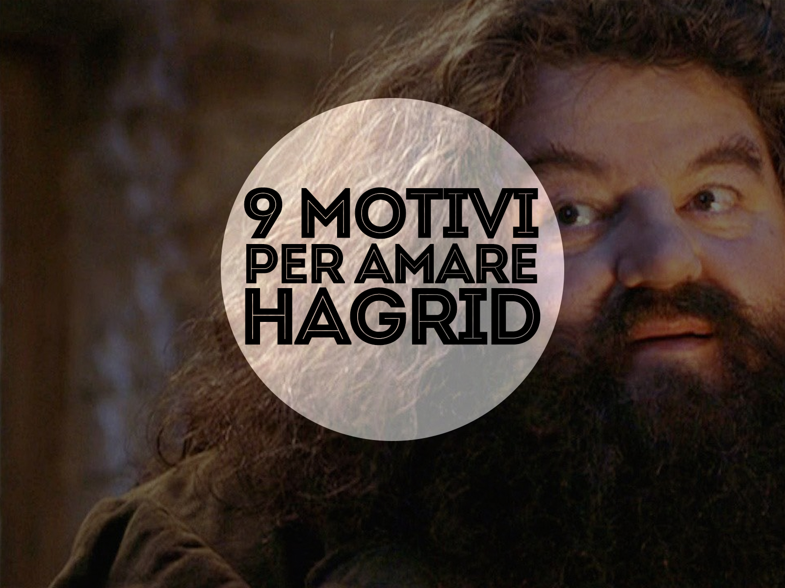 9 motivi per amare Hagrid
