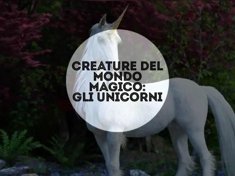 Creature del mondo magico: gli unicorni