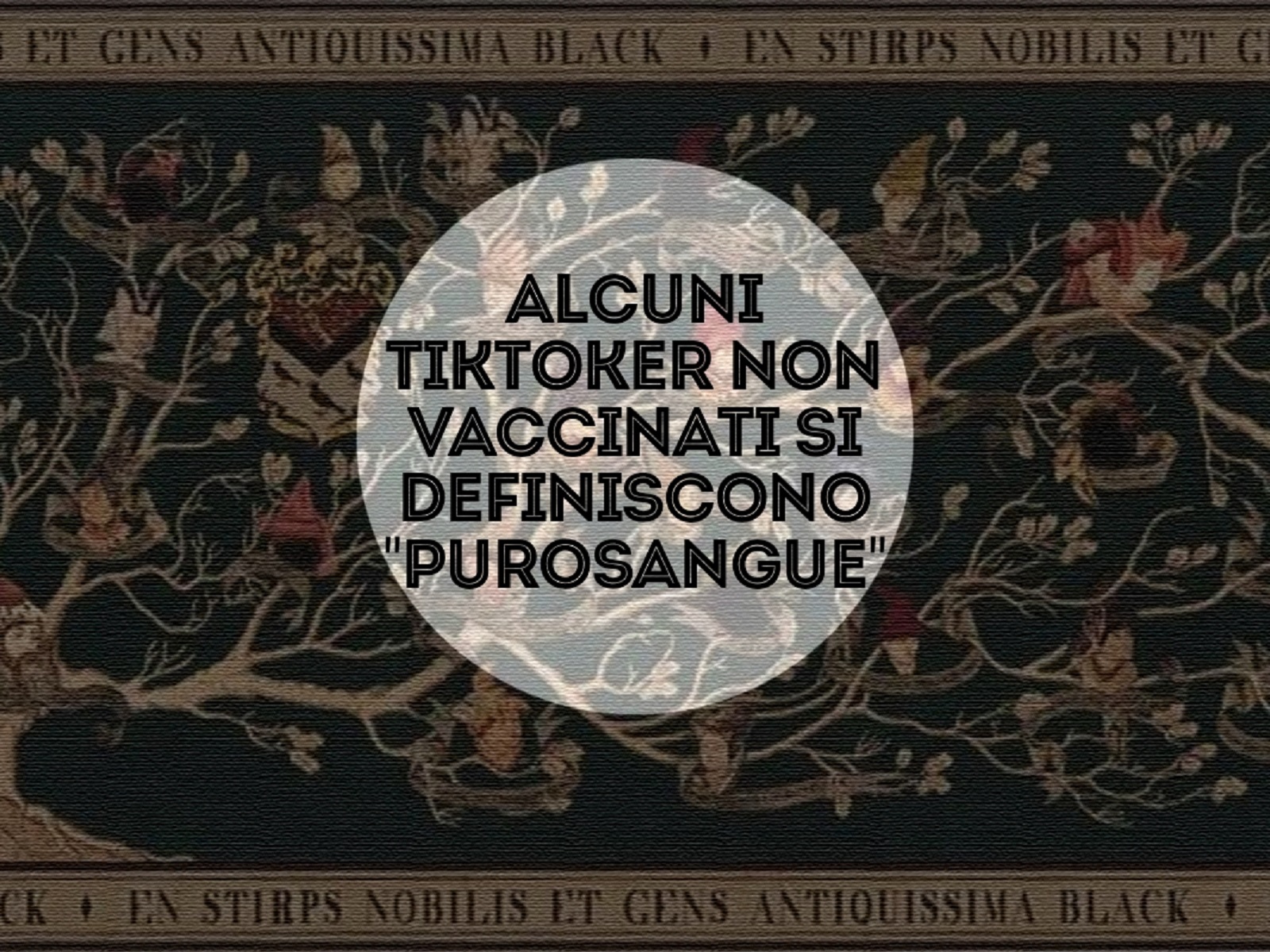 alcuni tiktoker non vaccinati si definiscono purosangue