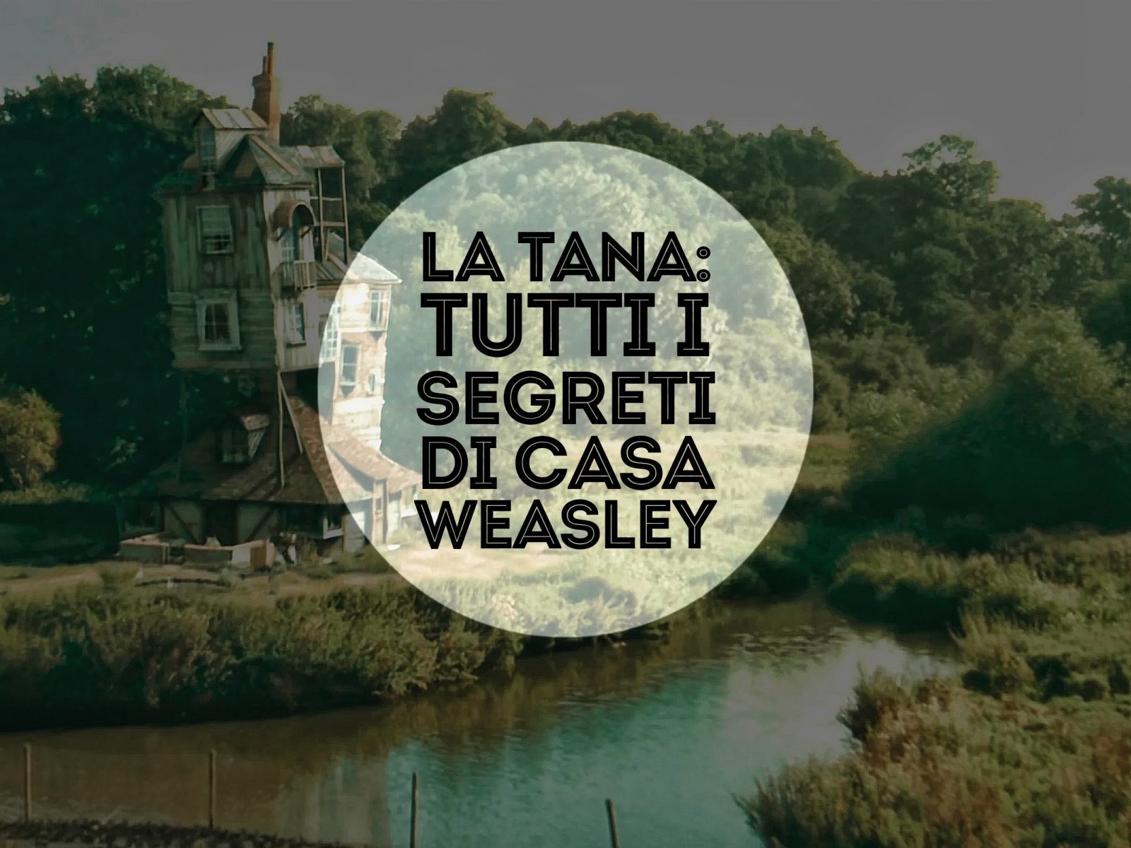 la tana tutti i segreti di casa weasley