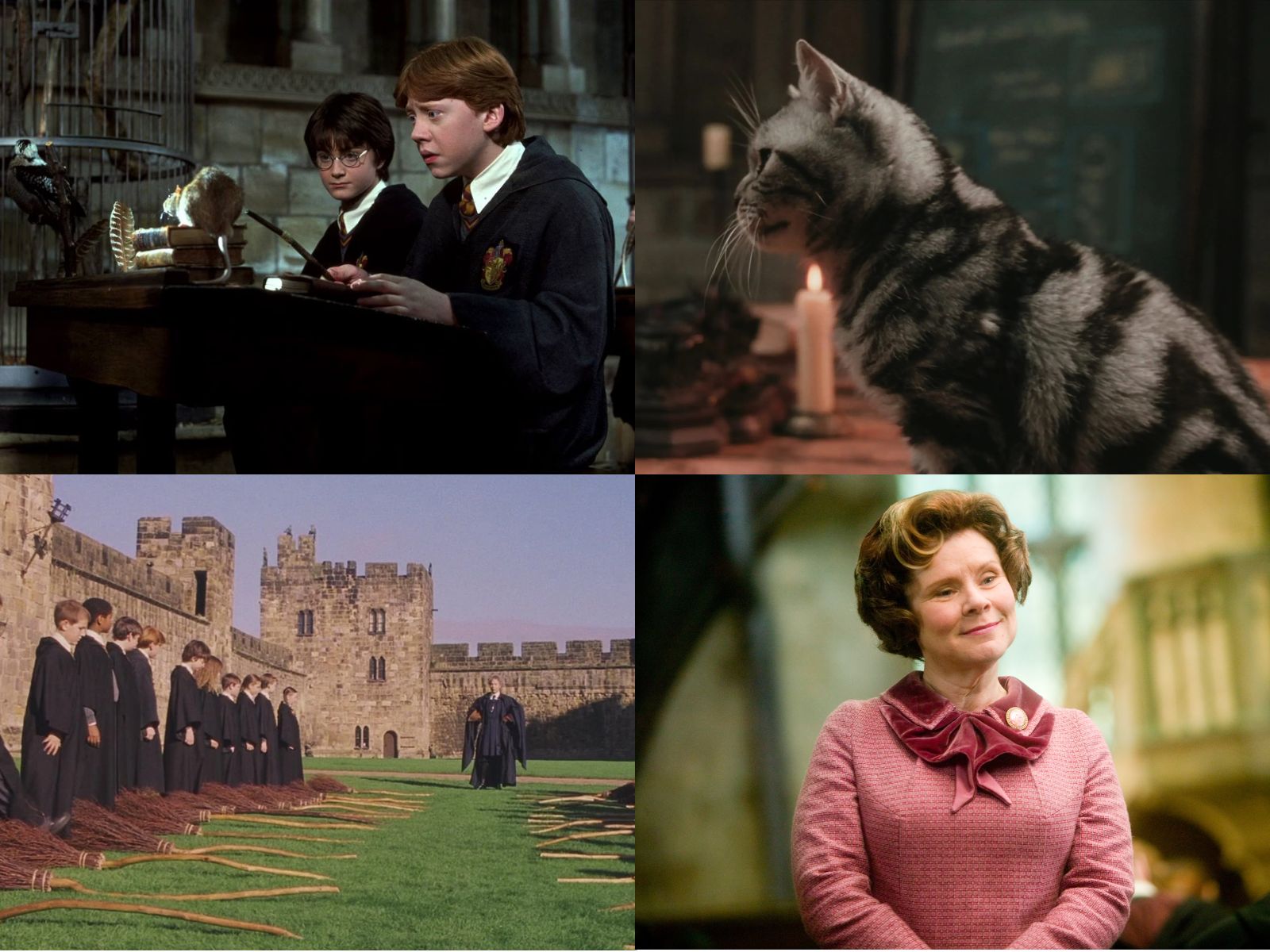 Le lezioni a cui vorremmo assistere nella Serie TV - Parte 1