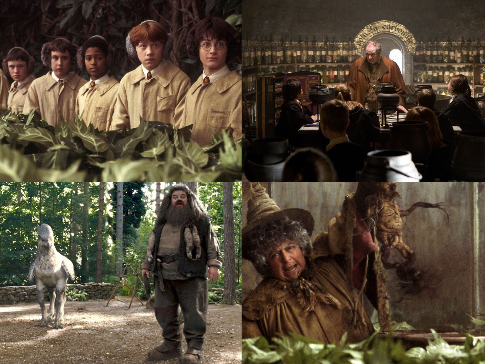 Le lezioni a cui vorremmo assistere nella Serie TV - Parte 3